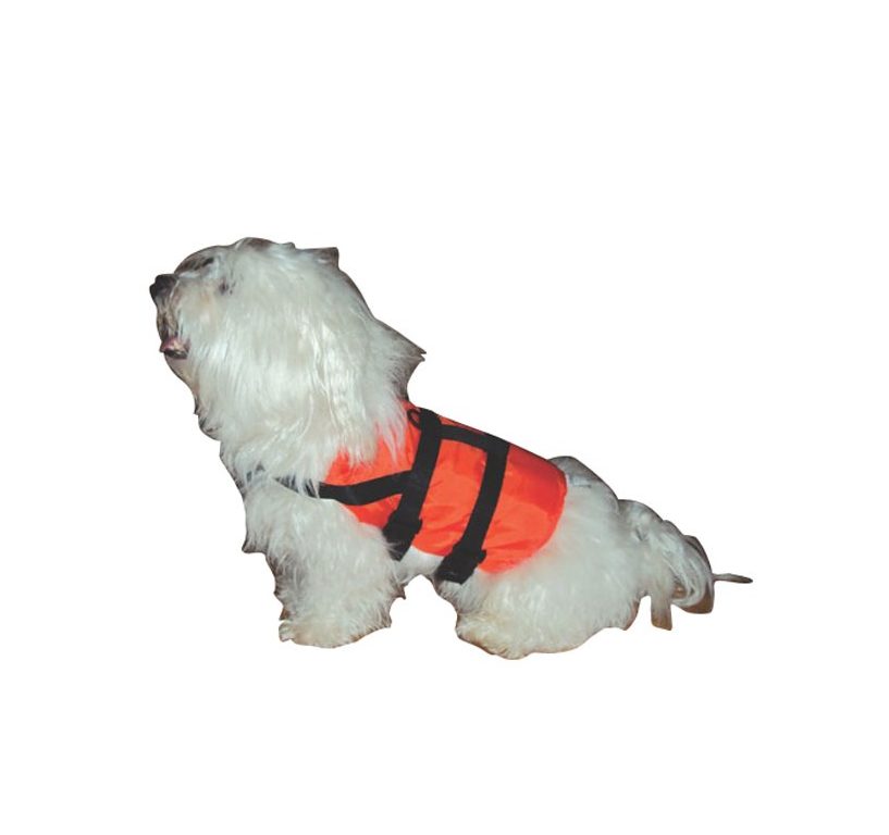 gilet pour chien Lalizas